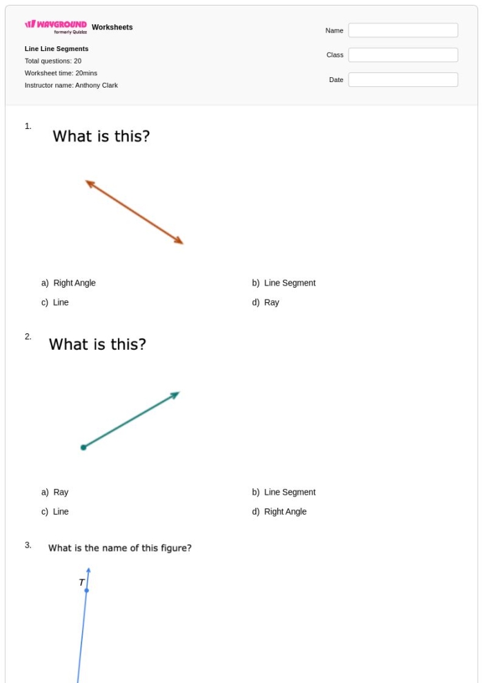 Second grade geometry worksheet featuring line segments and symmetry concepts