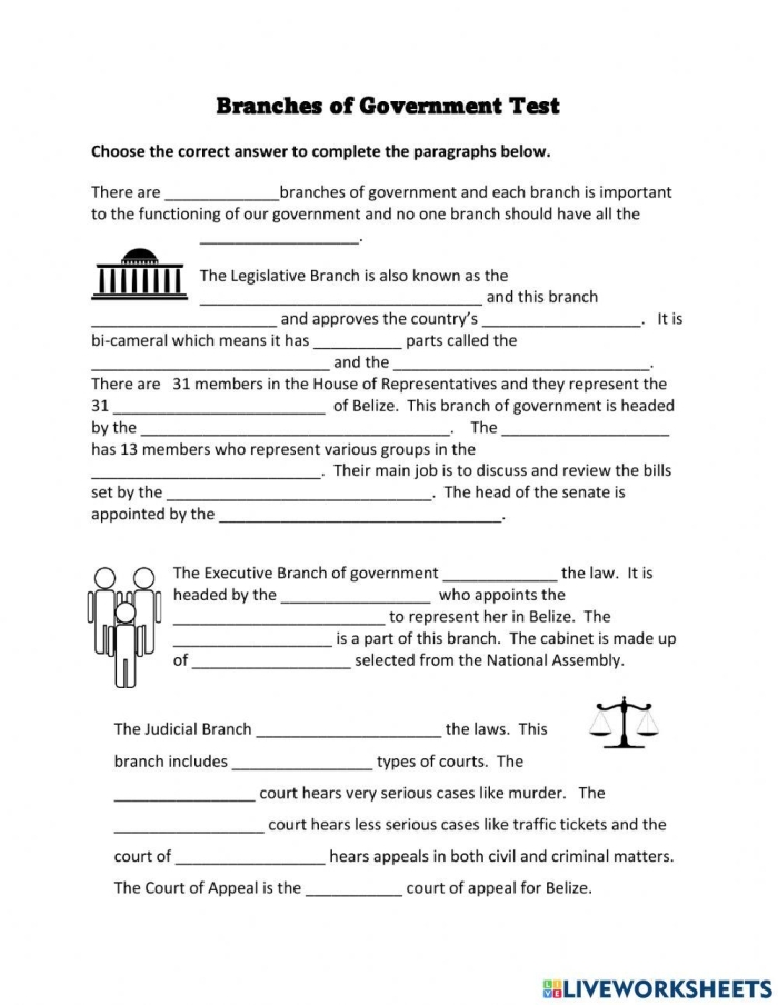 Second grade worksheet showing diagrams of the three branches of government with the legislative, executive, and judicial branches labeled for civics learning