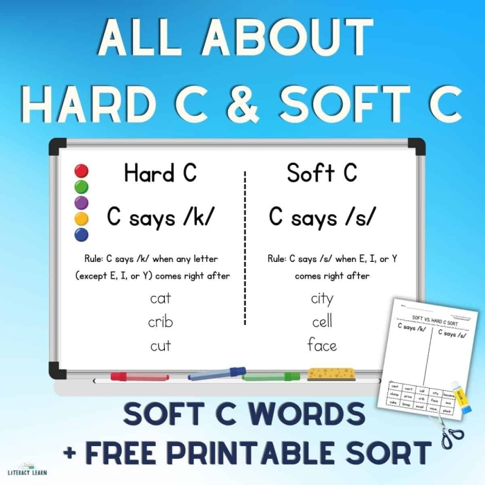 Sight Words worksheet for Second Grade Second grade worksheet for sorting hard and soft "c" sounds, featuring examples like cookie and celery. Educational activity focusing on consonant sound differentiation for young readers.
