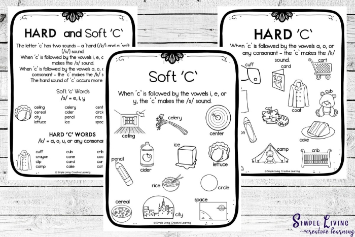 Visual guide for identifying initial consonant sounds in a fun reading activity Second grade worksheet for sorting hard and soft "c" sounds with examples like cookie and celery