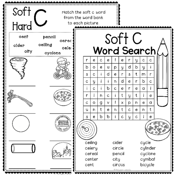 Educational activity focusing on consonant sounds in the Hard and Soft C worksheet Worksheet for sorting hard and soft "c" sounds for second graders