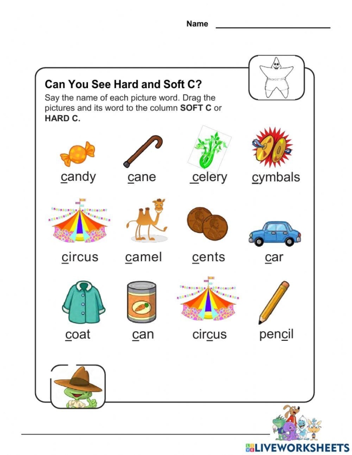 Interactive activity for identifying hard and soft consonant sounds in early reading skills Second grade worksheet for sorting hard and soft "c" sounds with examples like cookie and celery