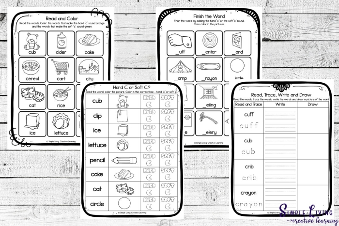 Educational activity focusing on hard "c" like cookie and soft "c" like celery Second grade worksheet for sorting hard and soft consonant sounds of "c