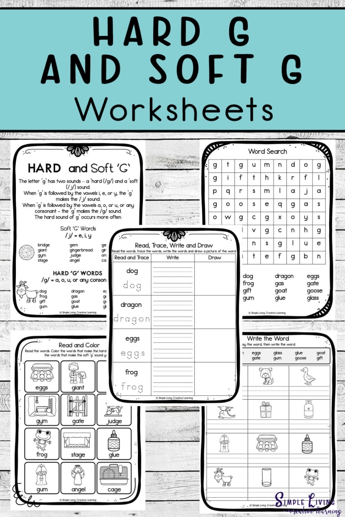 Second grade worksheet for sorting hard and soft "g" sounds, featuring examples like goose and giraffe