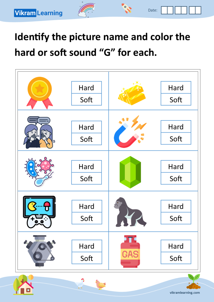Second grade reading worksheet for sorting hard and soft "g" sounds with examples like goose and giraffe