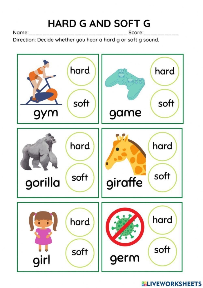 Second grade reading worksheet featuring the sorting of hard "g" and soft "g" sounds