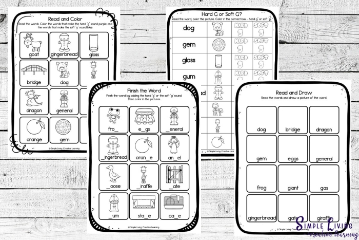Second grade reading worksheet for sorting hard and soft "g" sounds, featuring examples like goose and giraffe. Worksheet focused on consonant sound differentiation for young learners.