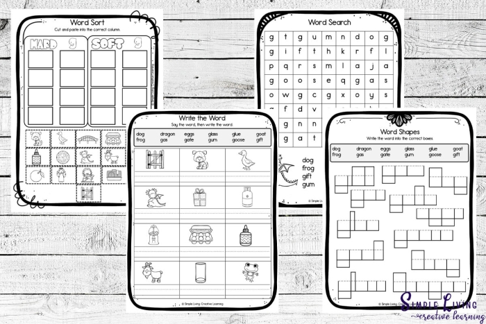 Second grade reading worksheet for sorting hard and soft "g" consonant sounds