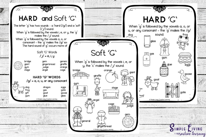 Second grade reading worksheet for sorting hard and soft "g" consonant sounds