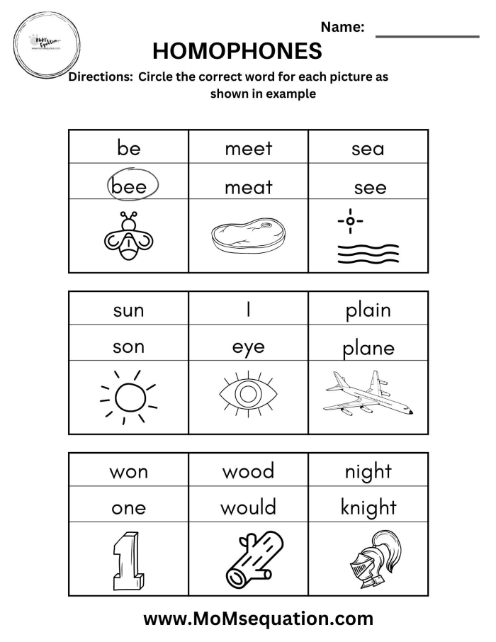 Second grade student completing a homophone search activity worksheet to help Simone