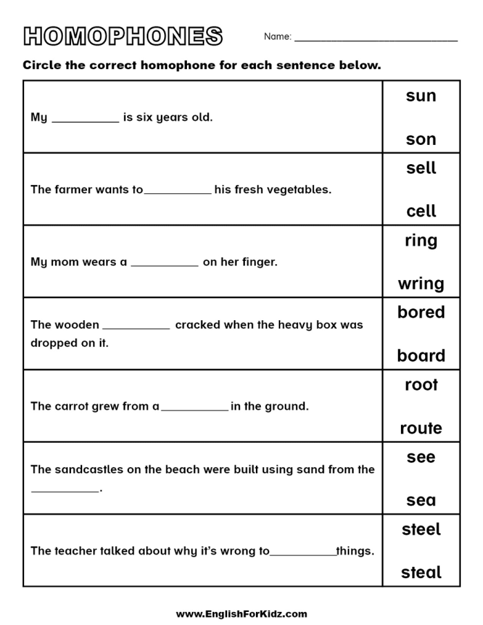 Homophone Check-in worksheet for assessing reading skills in young learners Worksheet for second graders focusing on homophones and their contextual usage