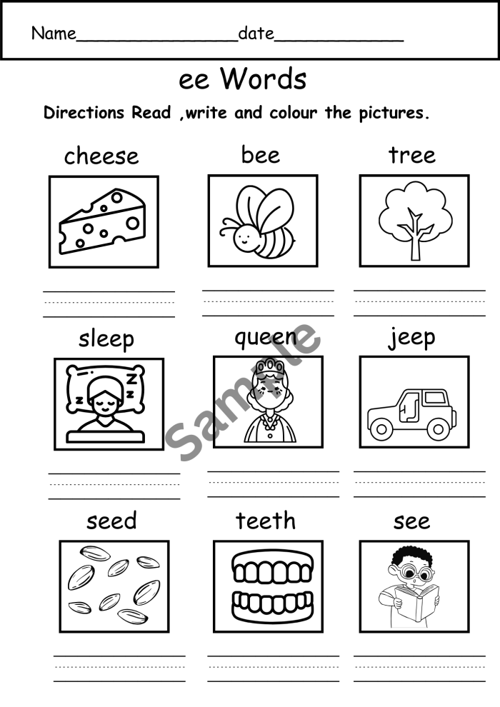 Worksheet featuring homophones "Ee" and "Ea" for second graders to identify and differentiate