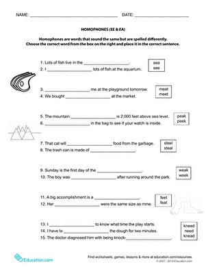 Worksheet featuring homophones "Ee" and "Ea" for second graders to practice identifying words. Fun and educational activity to enhance rhyming skills in young learners.