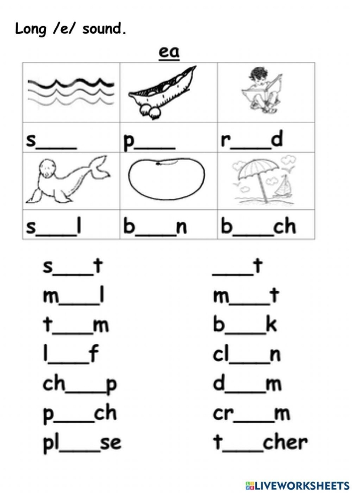 Worksheet featuring homophones with "Ee" and "Ea" for second graders