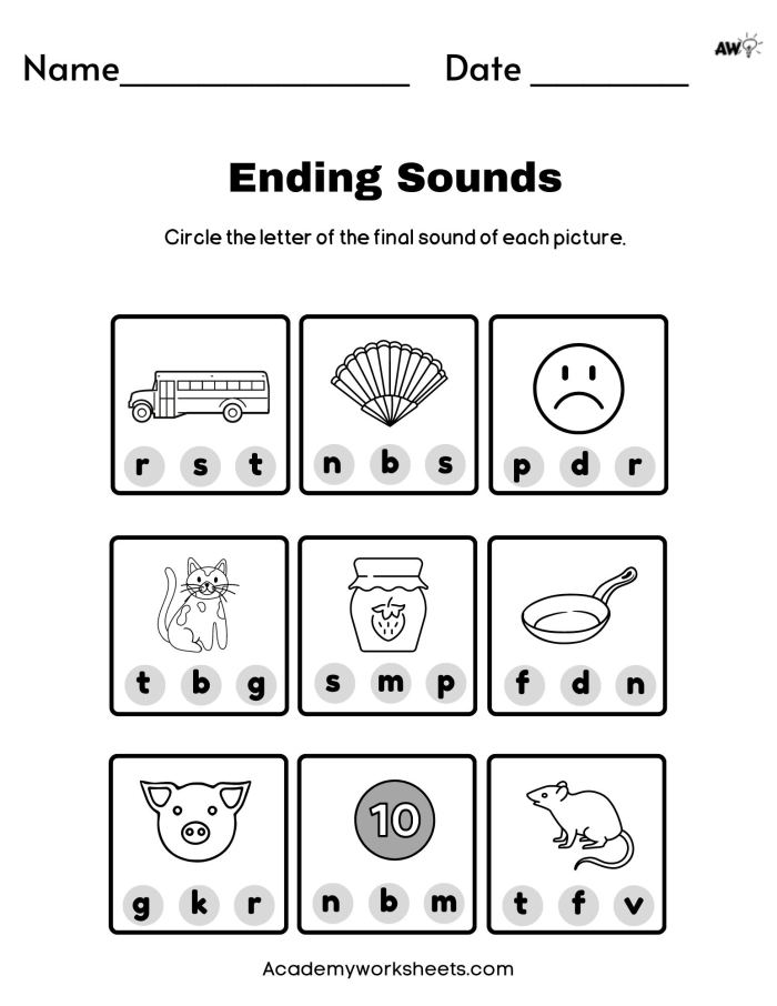 Second grade student completing a homophones worksheet by selecting correct word pairs to fill in sentence blanks