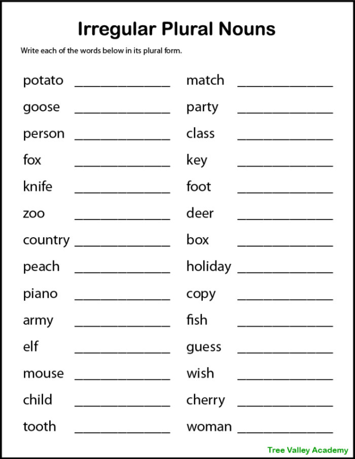 Irregular Plural Noun Match Worksheet Four for Second Grade Students Second grade student completing an Irregular Plural Noun Match worksheet activity