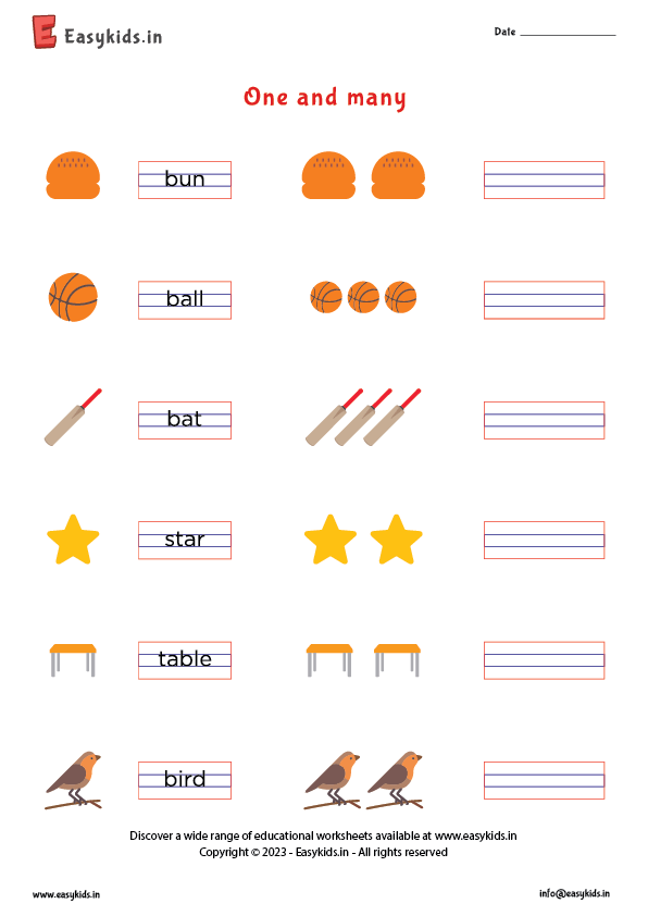 Worksheet for identifying irregular plural nouns in Earth and Space Science