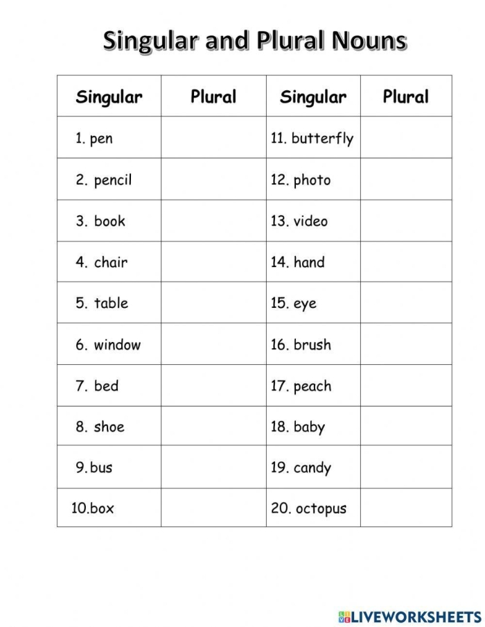 Worksheet for identifying irregular plural nouns in Earth and Space Science