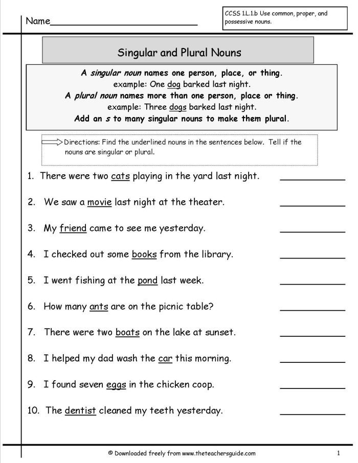 Worksheet for identifying irregular plural nouns in Earth and Space Science