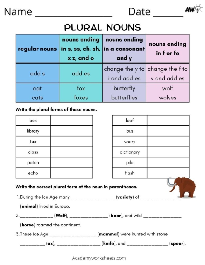 Second grade student completing an irregular plural nouns and verbs grammar assessment worksheet
