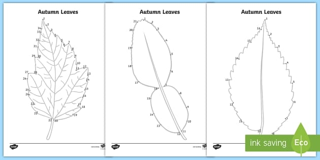 Leaf dot to dot worksheet for second graders featuring a budding branch design