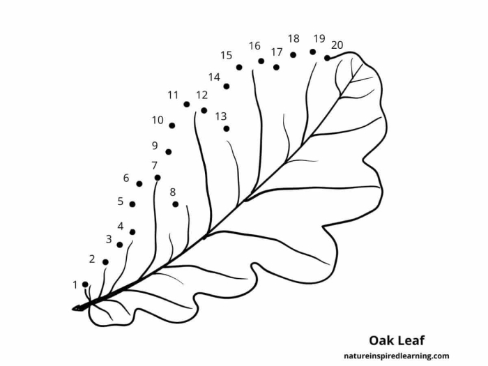 Second grade Leaf Dot to Dot worksheet featuring a number pattern counting by twos on a budding branch