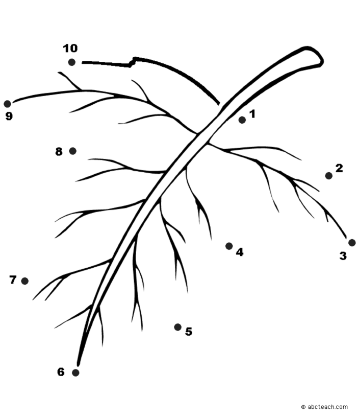 Second grade dot to dot worksheet featuring a leaf branch counted by twos