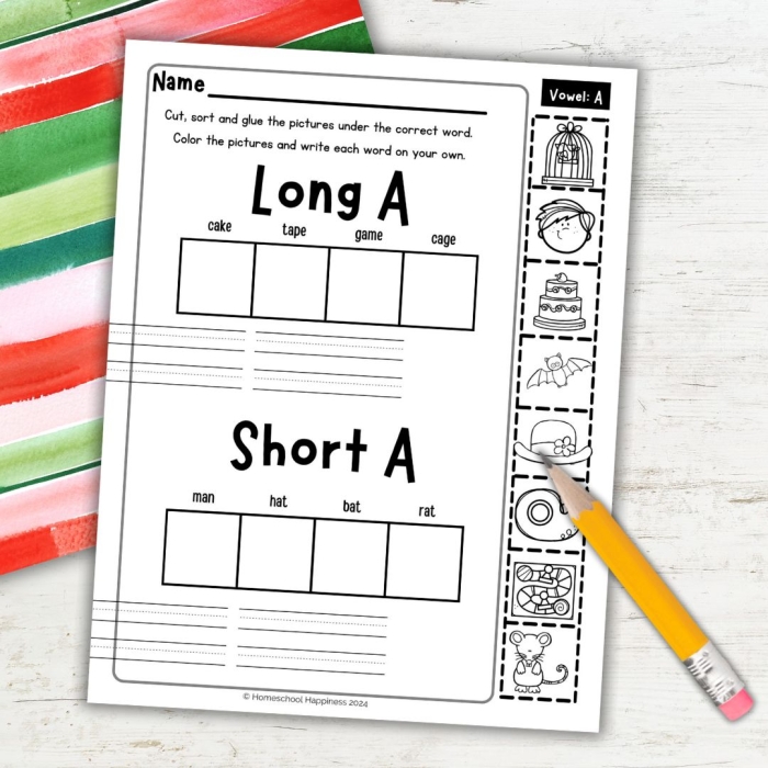Long A Vowel Word Sort activity for second graders Students organizing long A vowel words in a fun worksheet