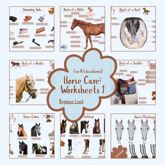 Second grade math worksheet featuring a mule crossword puzzle and coloring activity