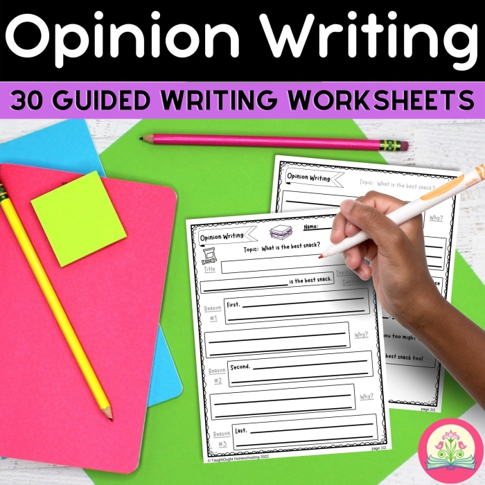Homework Opinion Writing Worksheet for Second Grade Life Science Lesson 15 Second grade student completing a Life Science homework opinion writing worksheet with a grading rubric