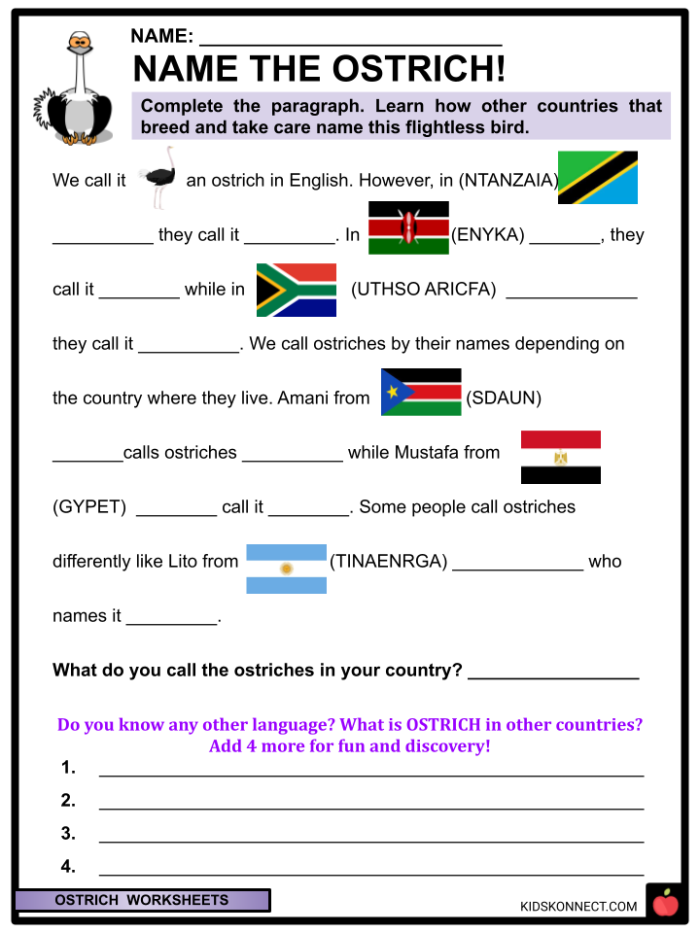 Time and Money worksheet for Second Grade Facts about ostriches, including their size and inability to fly, featured on a worksheet for second graders. Engaging worksheet on fascinating facts about ostriches for young learners.