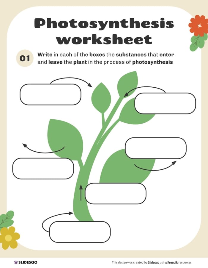 Worksheet for second graders explaining photosynthesis with fill-in-the-blank activities