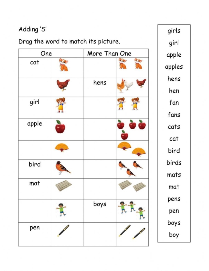 Second grade grammar worksheet focusing on plural noun rules by adding s or es to singular words