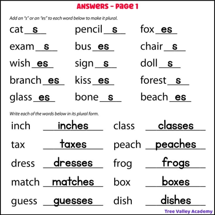 Second grade grammar worksheet showing exercises for adding s or es to make singular nouns plural with practice examples and fill-in activities