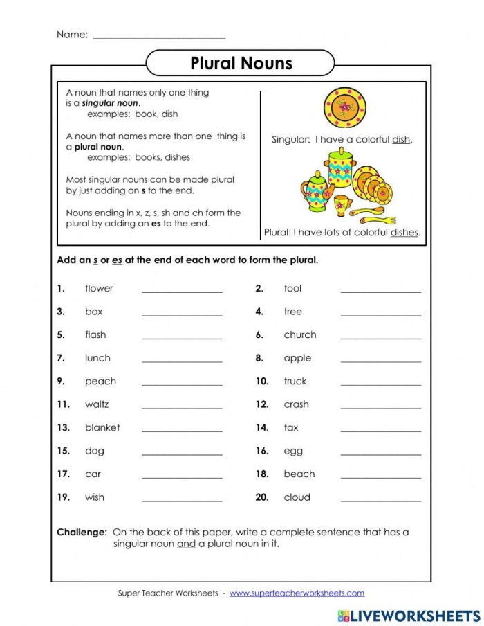 Second grade worksheet showing singular nouns with blanks for students to write plural forms by adding s or es endings