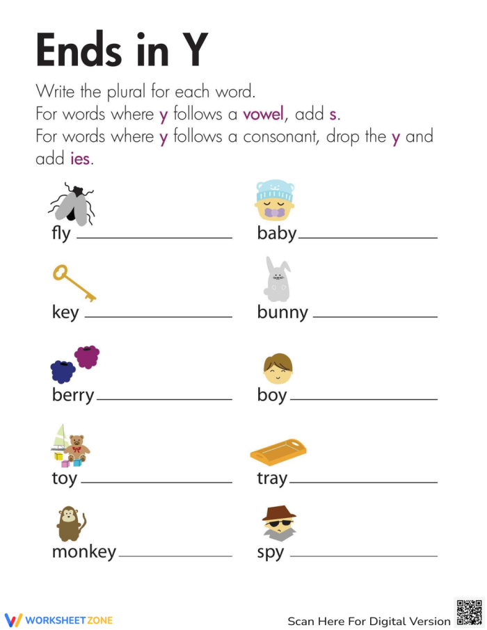 Second grade grammar worksheet showing examples of changing singular nouns ending in y to plural forms by adding s or dropping y and adding ies