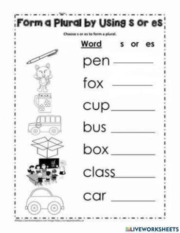 Second grade plurals worksheet showing singular nouns with s and es endings practice exercises for image 7