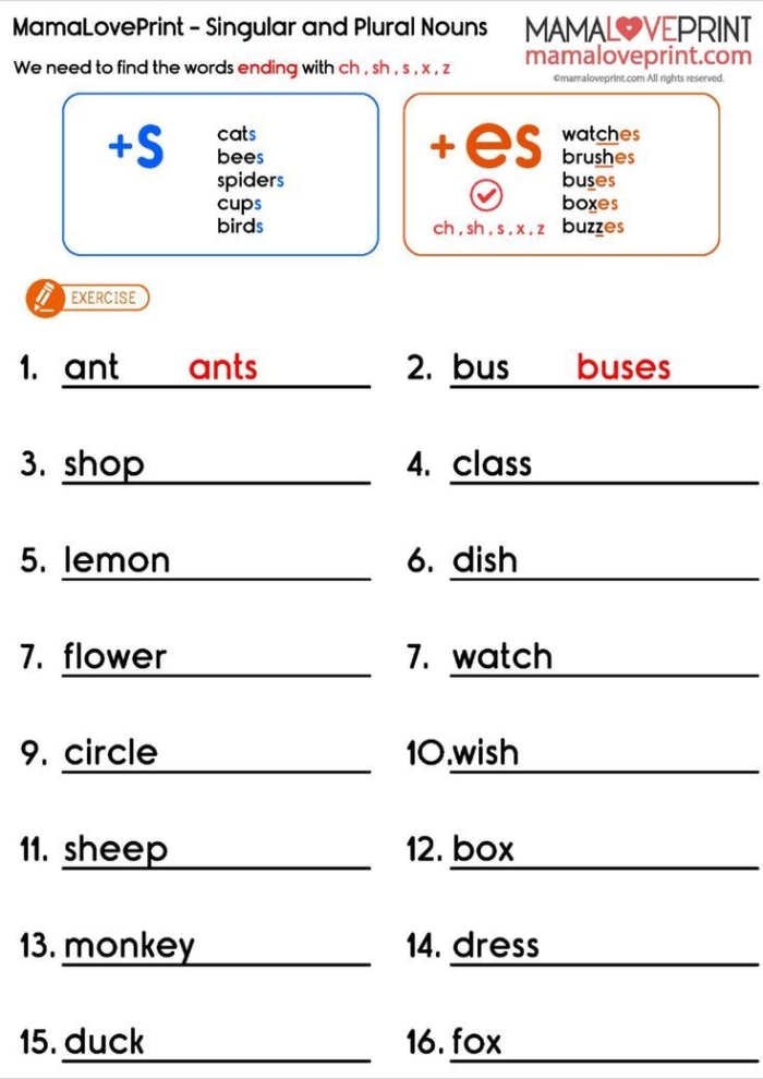 Plurals: Add "s" or "es" worksheet for Second Grade