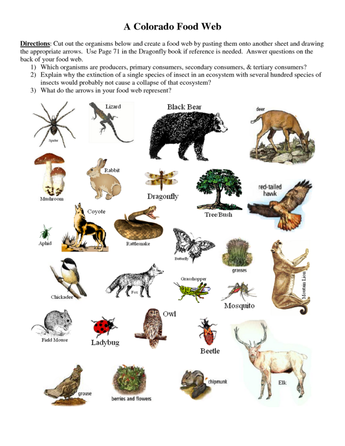 Students exploring producers and consumers in a social studies worksheet