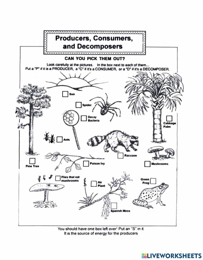 Second grade worksheet about identifying producers and consumers in social studies