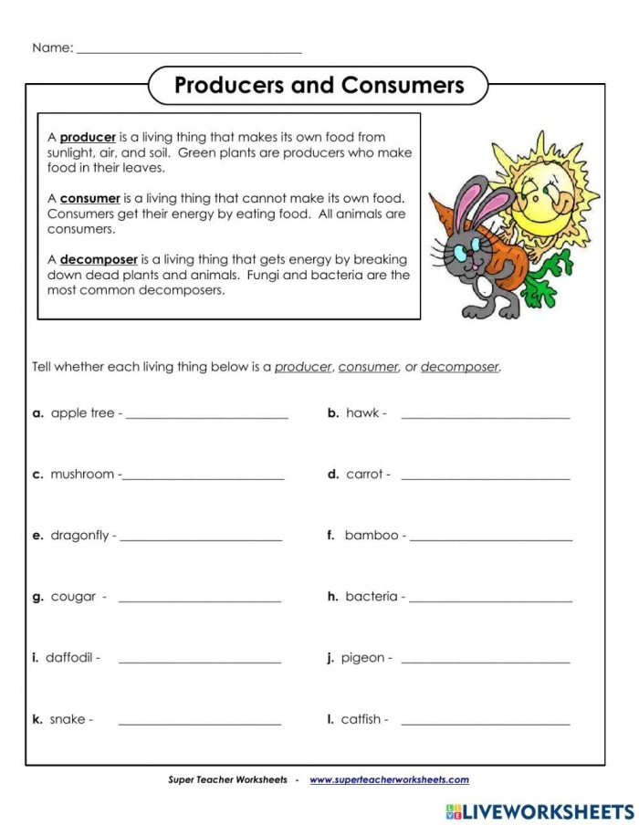 Second grade students explore the concepts of producers and consumers in this engaging worksheet. Worksheet on the roles of producers and consumers for second graders.