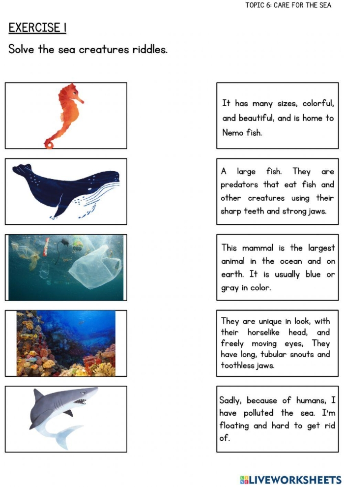 Second grade student using a paper ruler to measure colorful sea animal illustrations on a worksheet