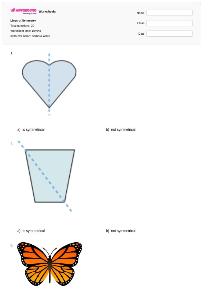 Line segments, symmetry, and geometric shapes worksheet for second graders