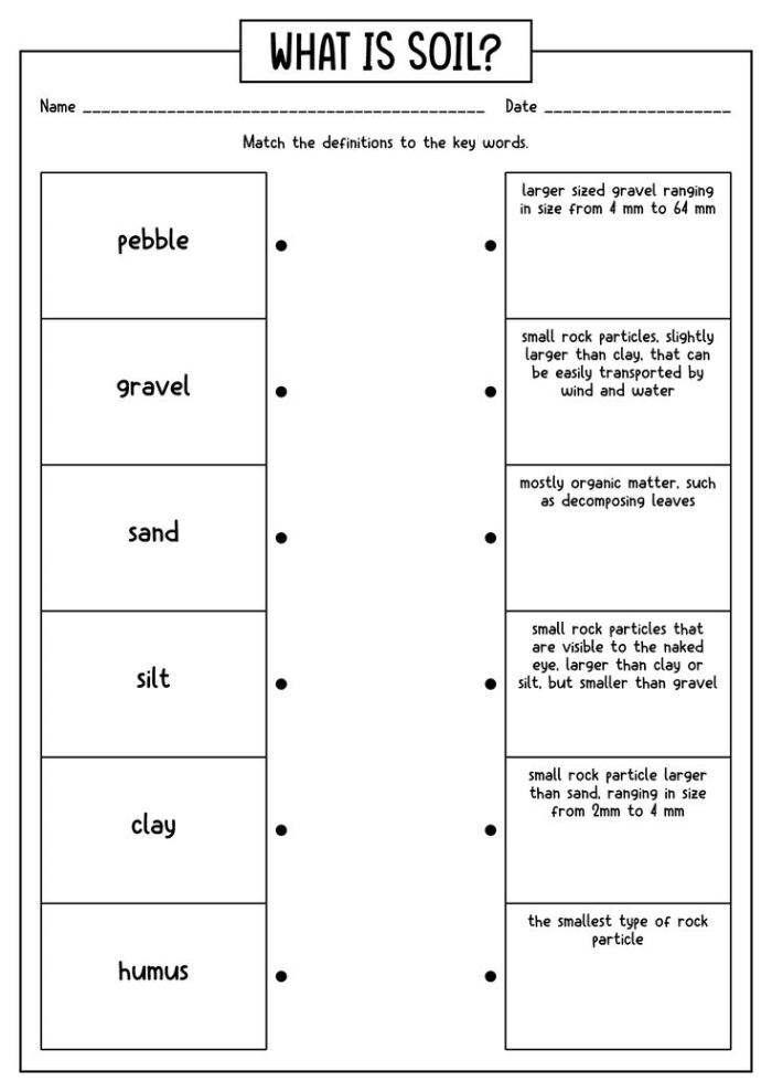 Educational image for Layers of Soil worksheet for young learners Diagram illustrating the layers of soil for a second-grade worksheet