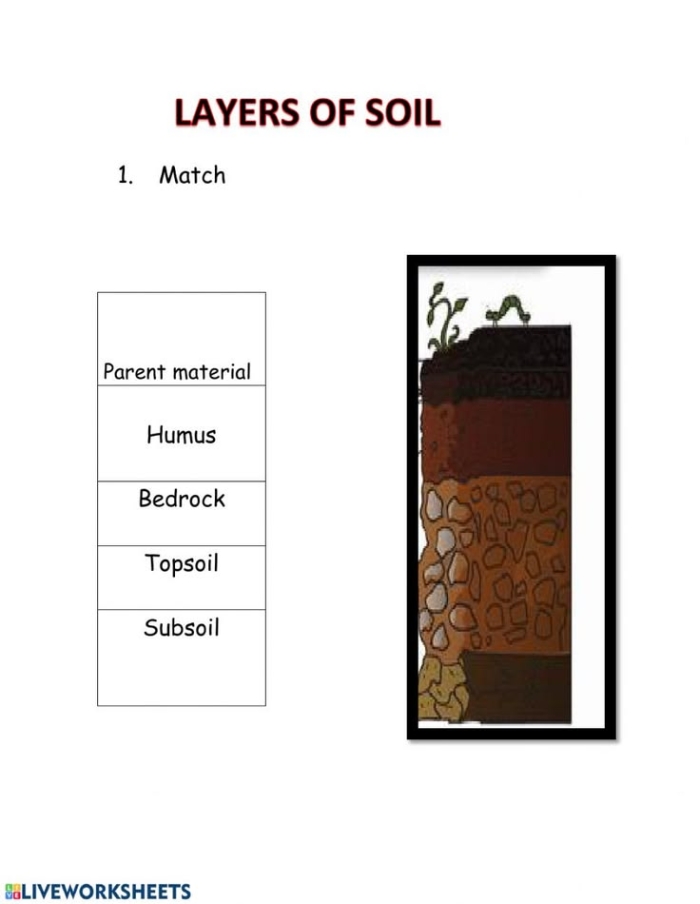 Layers of Soil Worksheet for Second Grade Science Lesson 7 Second grade science worksheet illustrating the different layers of the earth and soil