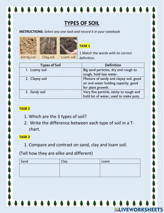 Illustration of various soil types for educational purposes in a second-grade science worksheet