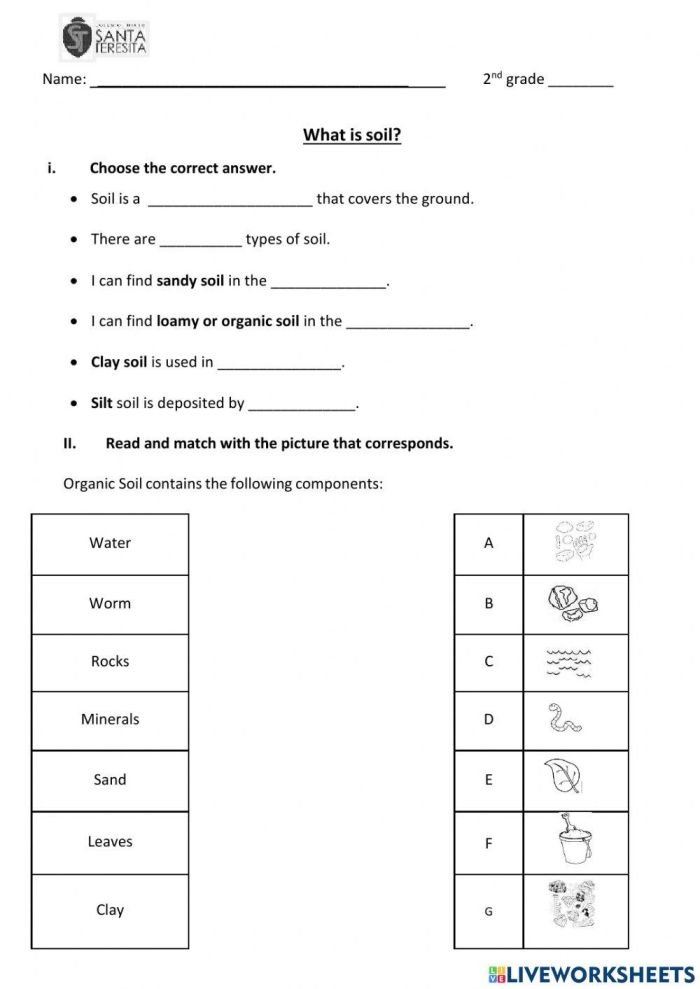Illustration of various soil types for a second-grade science worksheet
