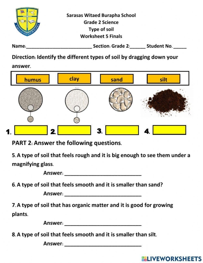 Second grade student completing a soil formation worksheet with reading comprehension questions about earth science