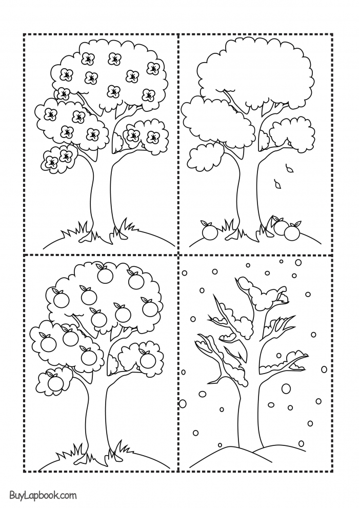 Matter Mixup Solids Worksheet 14 A worksheet titled Matter Mixup helps second graders identify various solid objects in a physical science lesson.