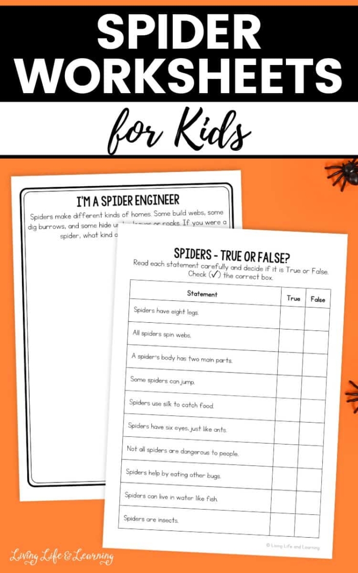 Grammar and Mechanics worksheet for Second Grade Colorful worksheet for second graders about spiders and their webs, featuring a diagram for labeling. Educational resource for teaching grammar and mechanics in science.